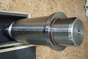 Уплотнительное кольцо R44 EVOLUTION 50001781 фторкаучук оси ролика гранулятора EVOLUTION-8250 8105