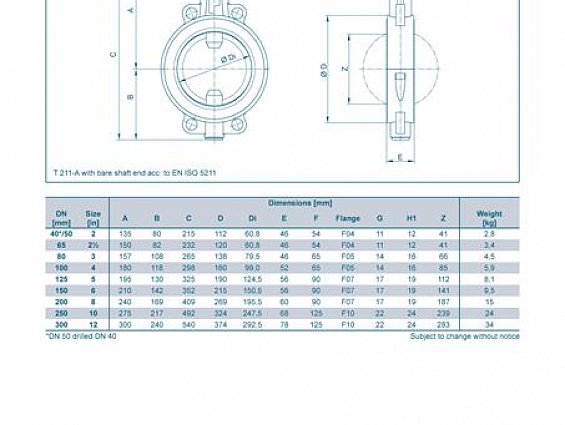 Затвор химический EBRO ARMATUREN T211-A DN250 PN10 -20/+200C Disk-PTFE Liner-PTFE/S