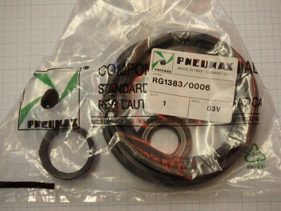 Ремкомплект пневмоцилиндра pneumax rg1383/0006 набор уплотнений с манжетами поршня D=100мм