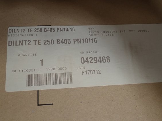Виброкомпенсатор DILATOFLEX TE NT DN250 16bar -25C/100С DILNT2 TE 250 B405 0429468 MADE IN FRANCE ве