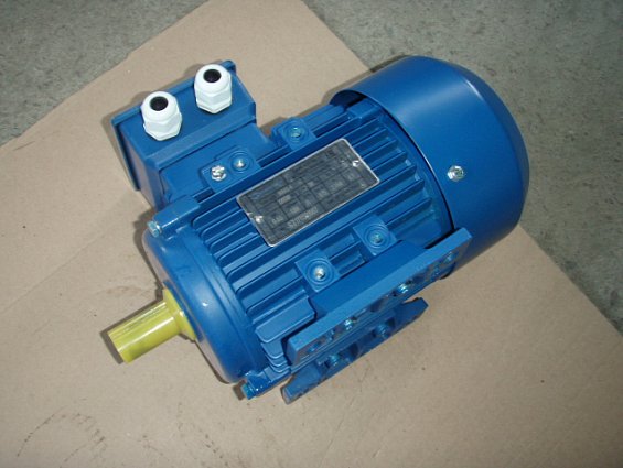 Электродвигатель AIS80m1-4У1 0.55/1500 220/380В imb3 1081 ip55 вес=8.7кг