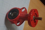 Затвор Bray серия-20 DN32 голый вал EPDM 20-0100-92801-561 CF8M T=-40C...+121C