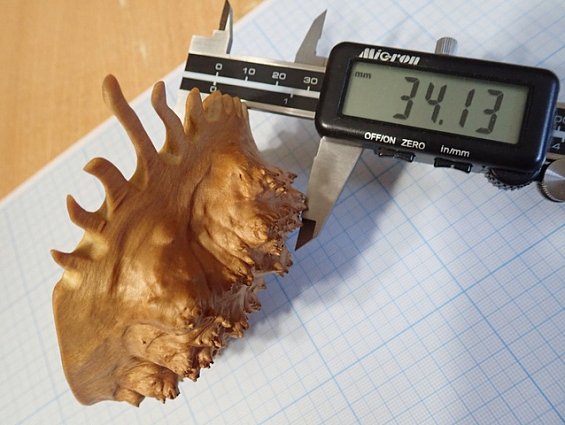 Кап березы капокорень пропитка льняным маслом