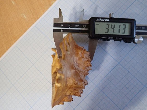 Кап березы капокорень пропитка льняным маслом