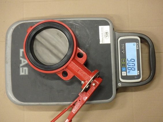 Затвор дисковый поворотный Bray 30-169-S01-DN150 серия-30 DN150 PN16 Ду150 Ру16 с ручкой