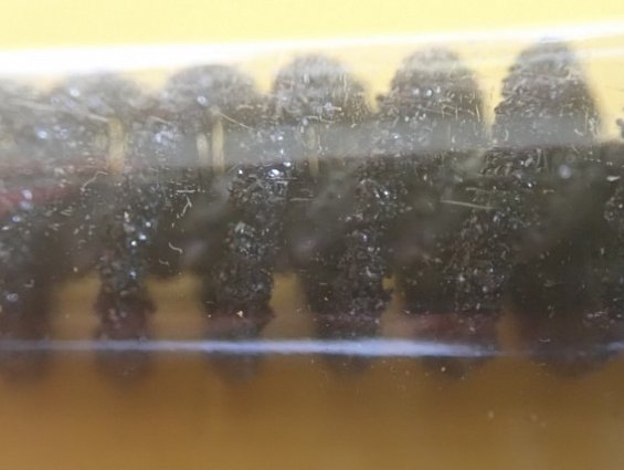 Гибкий хон FLEX-HONE BRM BC11MM (.433") 80SC BRUSH RESEARCH MANUFACTURING CO.
