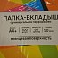 Папка-вкладыш с перфорацией 461490-013GFLux Люкс толщина пленки 0.05мм 50мкм глянцевый формат А4 100