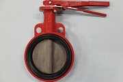 Затвор дисковый поворотный Bray 30-169-S01-DN150 серия-30 DN150 PN16 Ду150 Ру16 с ручкой