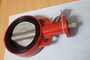 Затвор Bray SER:30 DN:5 IN 30-169-DN125 PN16 300500-1100U169 голый вал корпус чугун