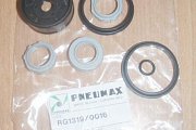 Ремкомплект пневмоцилиндра pneumax rg1319/0016 набор уплотнений с манжетами поршня D=40мм