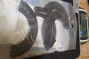 Уплотнение корпуса SKF TSN519L Seals for SNH and SNL519-618 For shaft diam.85 комплект из четырех