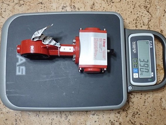 Затвор Bray 30-169-DA0630-DN50 30-169-DN50+S92-0630 920630-11350824 double acting