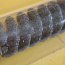 Гибкий хон FLEX-HONE BRM BC10MM (.394") 80SC BRUSH RESEARCH MANUFACTURING CO.